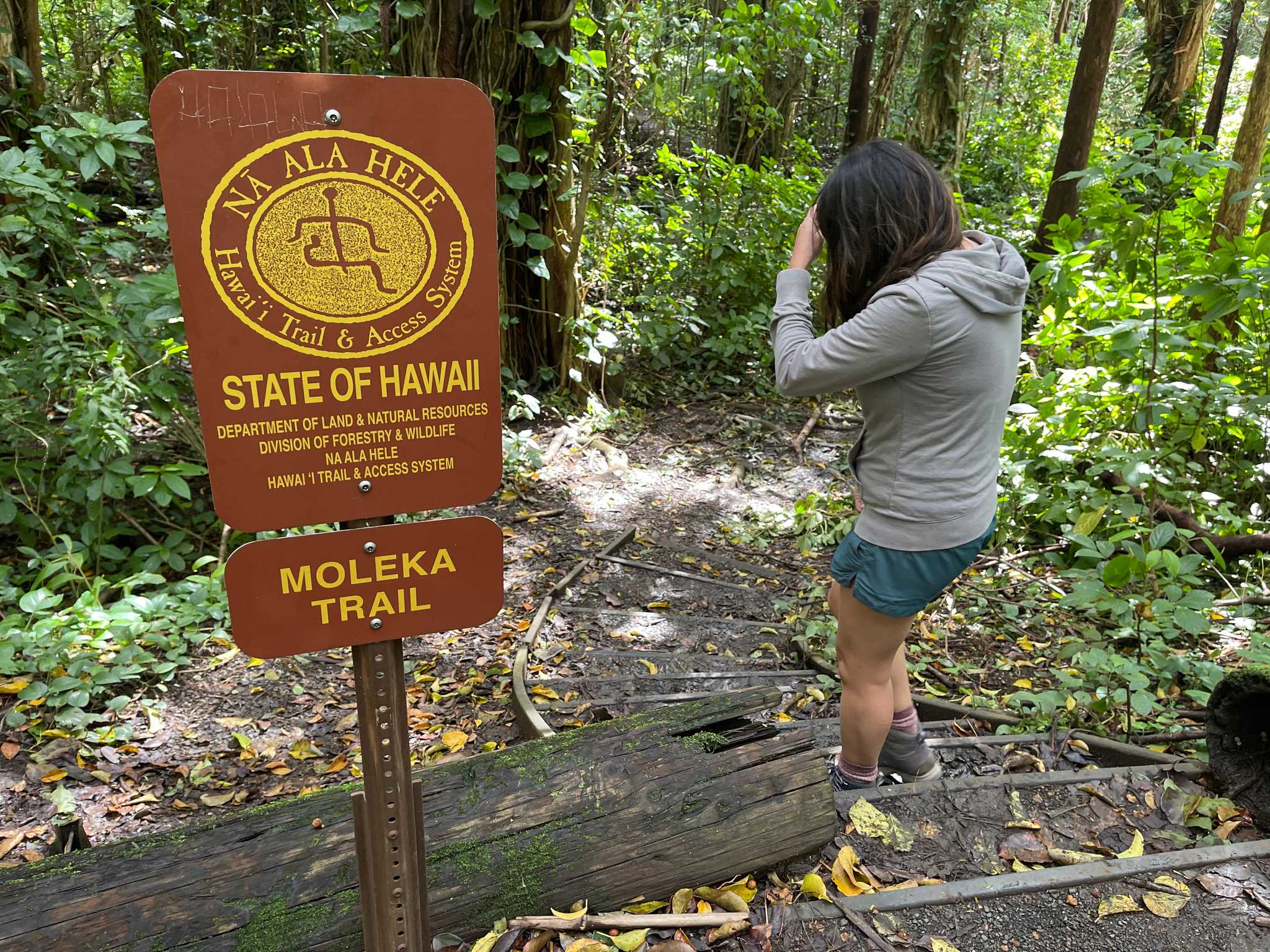 Moleka Trail